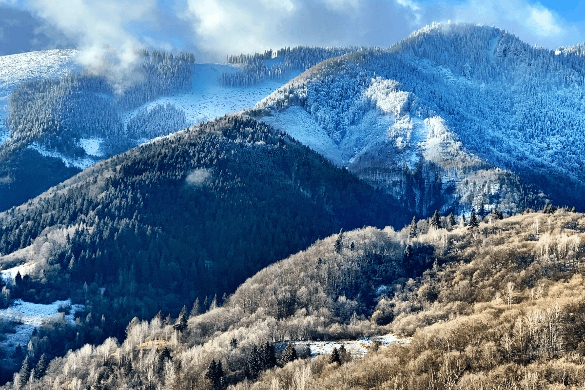 iTOP Advanced, Ružomberok